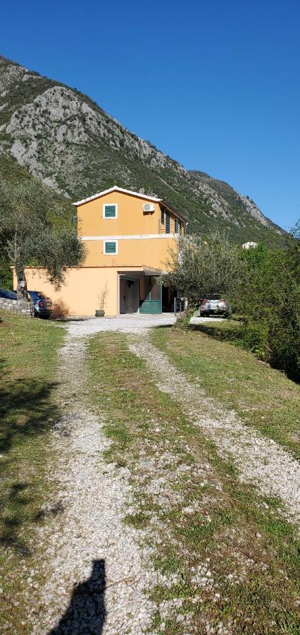 Apartman Barbara Kotor Exteriör bild