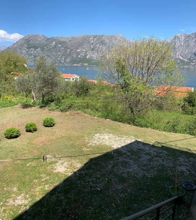 Apartman Barbara Kotor Exteriör bild