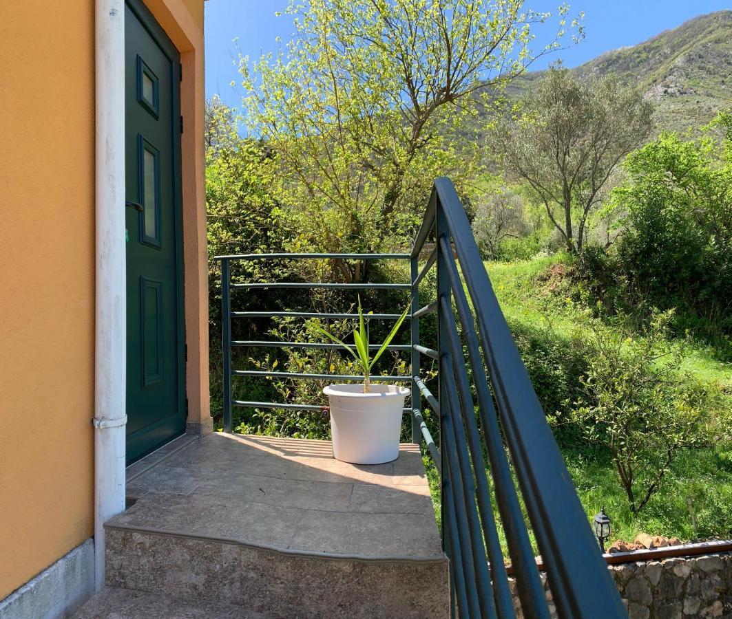 Apartman Barbara Kotor Exteriör bild