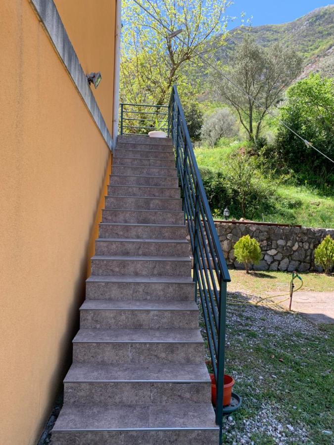 Apartman Barbara Kotor Exteriör bild